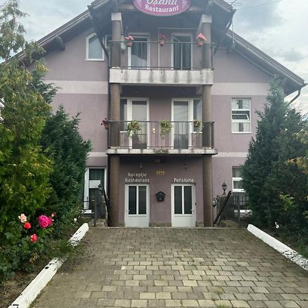 Pensiune Osanu Sibiu Exterior foto