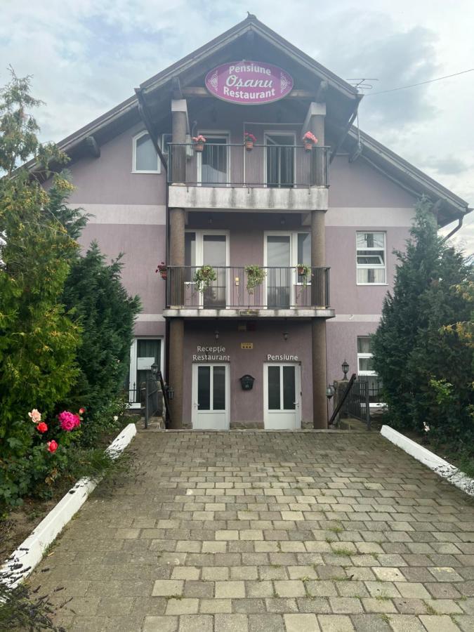 Pensiune Osanu Sibiu Exterior foto